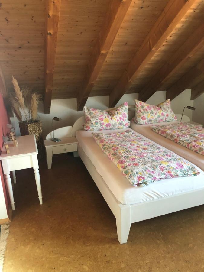 Haus Bergblick Daire Kißlegg Dış mekan fotoğraf